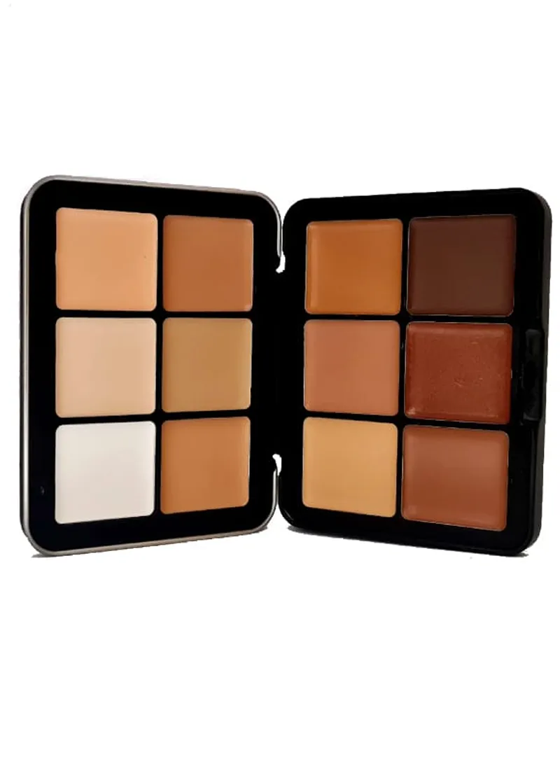 12 Colors Contouring Foundation Palette — photo 3