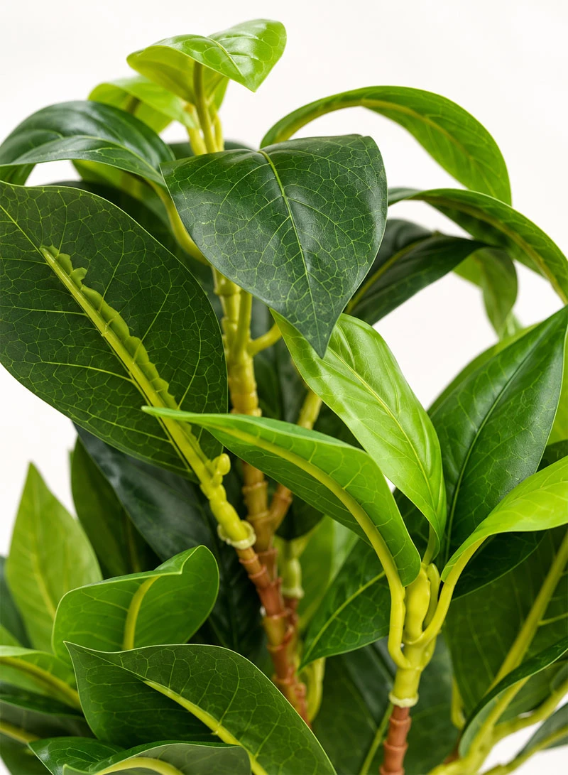 Artificial Decorative Plant with Variegated Leaves & Decorative Pot 17004-5 β photo 6