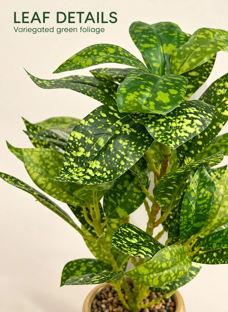 Artificial Decorative Plant with Variegated Leaves & Decorative Pot 17004-5 β photo 9