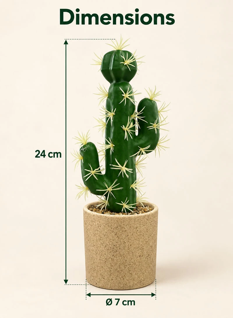 Artificial Cactus Plant with Decorative Pot - Green — photo 2