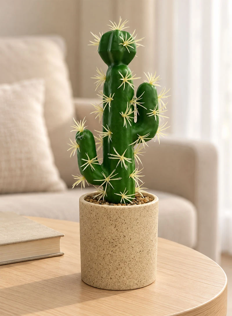 Artificial Cactus Plant with Decorative Pot - Green — photo 7