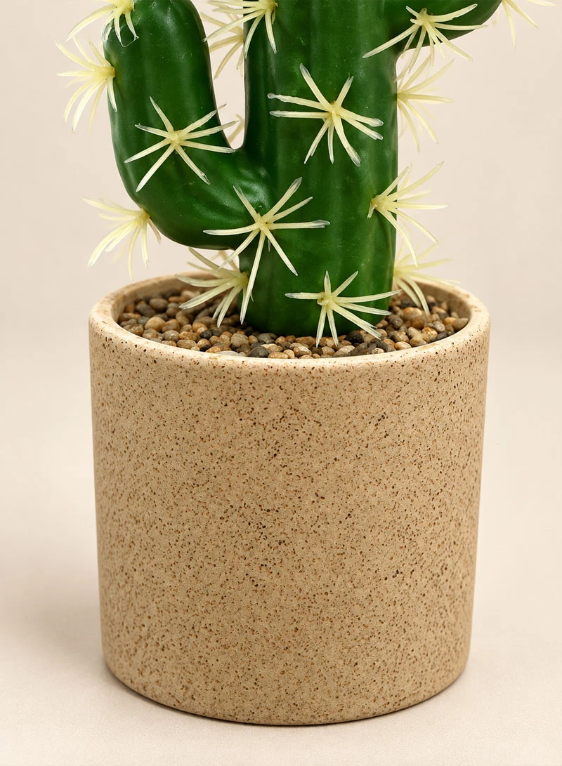 Artificial Cactus Plant with Decorative Pot - Green β photo 9