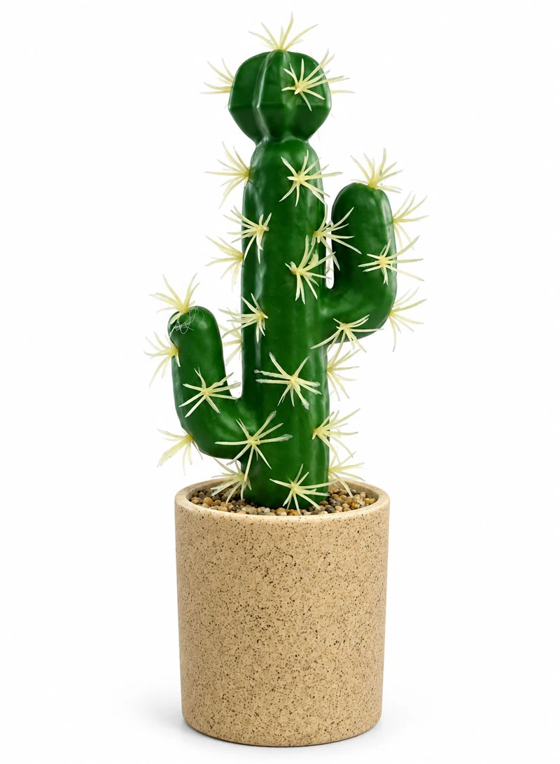 Artificial Cactus Plant with Decorative Pot - Green