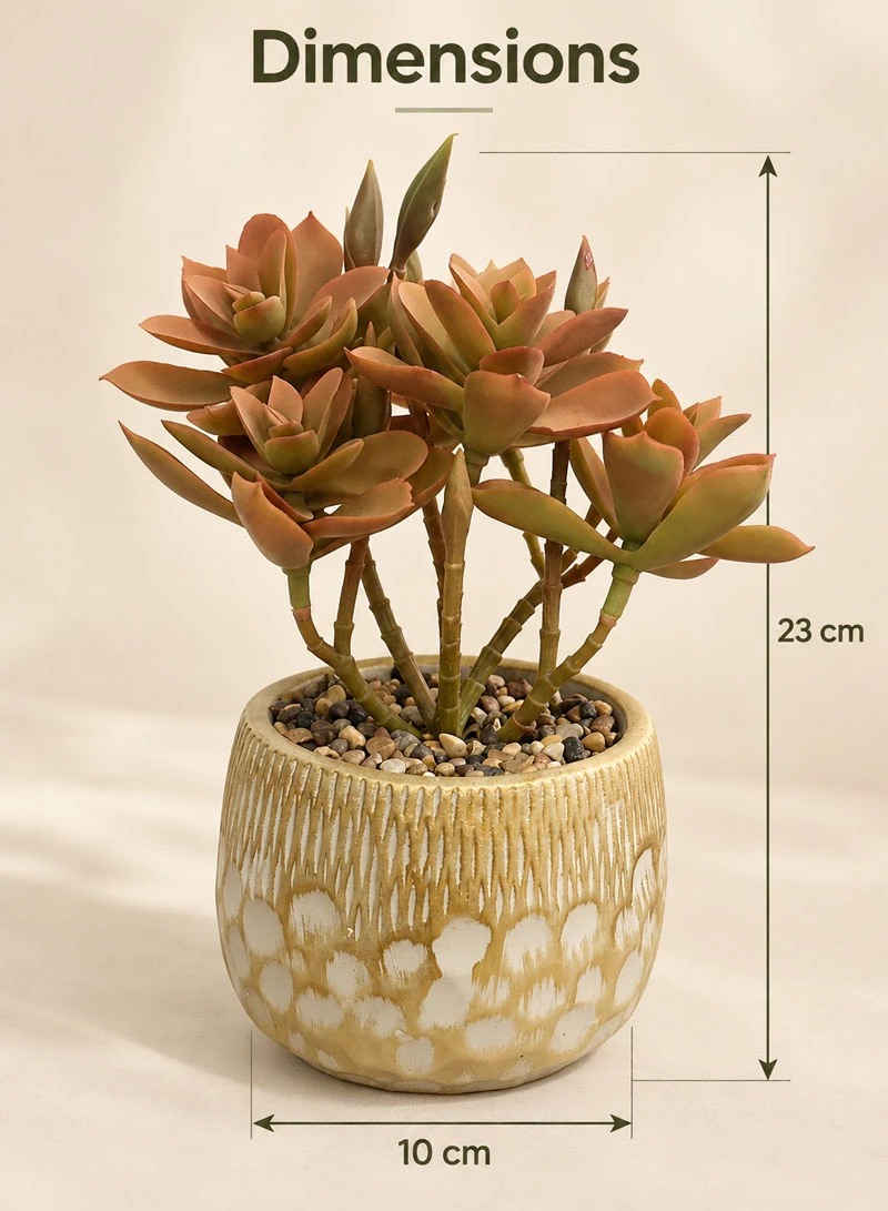 Artificial Succulent Plant with Decorative Pot - Brown β photo 2