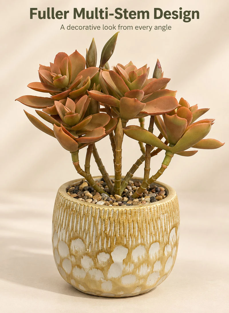 Artificial Succulent Plant with Decorative Pot - Brown β photo 3