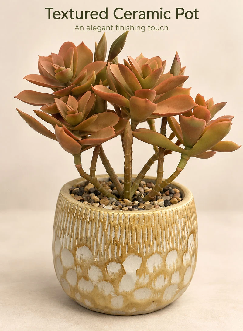 Artificial Succulent Plant with Decorative Pot - Brown — photo 4