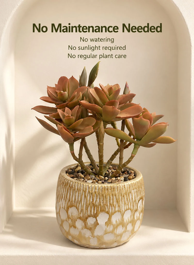Artificial Succulent Plant with Decorative Pot - Brown — photo 5