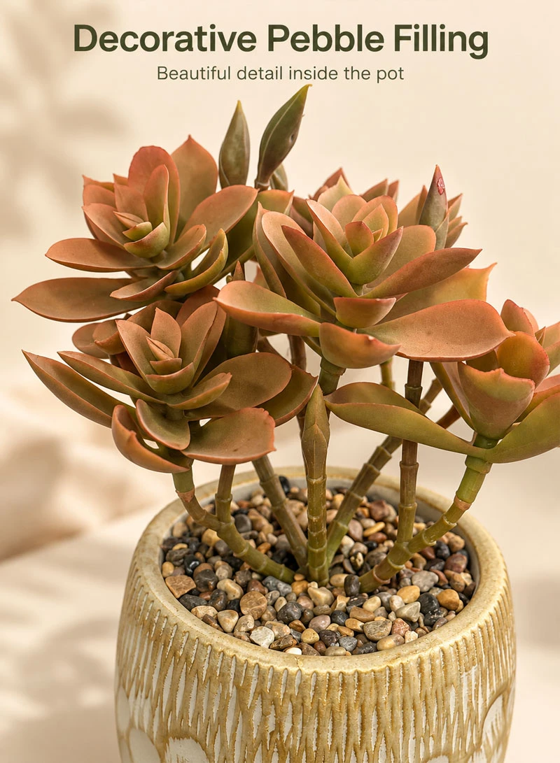 Artificial Succulent Plant with Decorative Pot - Brown — photo 6