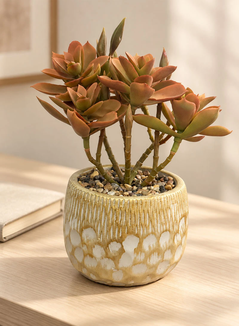 Artificial Succulent Plant with Decorative Pot - Brown β photo 7
