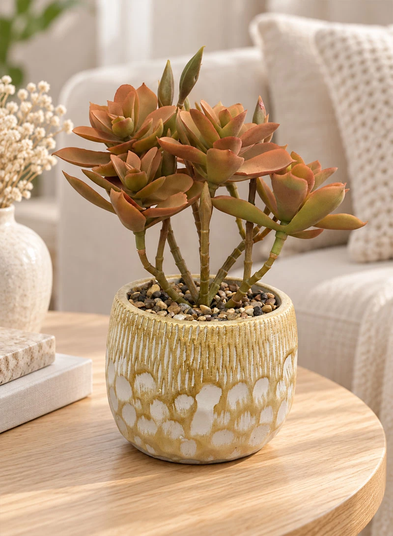 Artificial Succulent Plant with Decorative Pot - Brown — photo 8