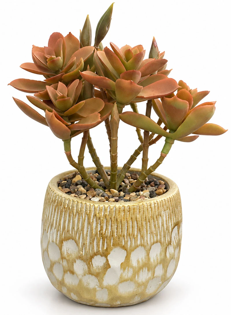Artificial Succulent Plant with Decorative Pot - Brown