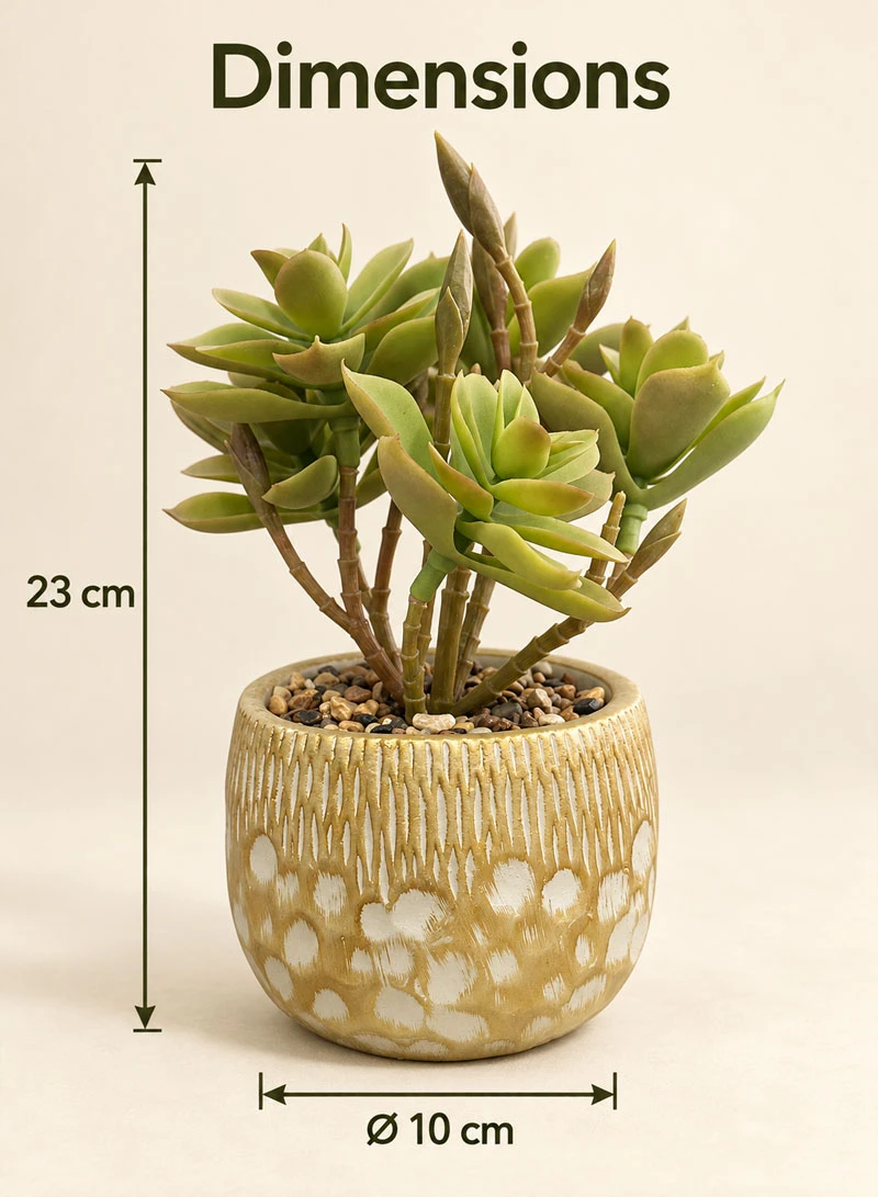 Artificial Succulent Plant with Decorative Pot - Green β photo 2