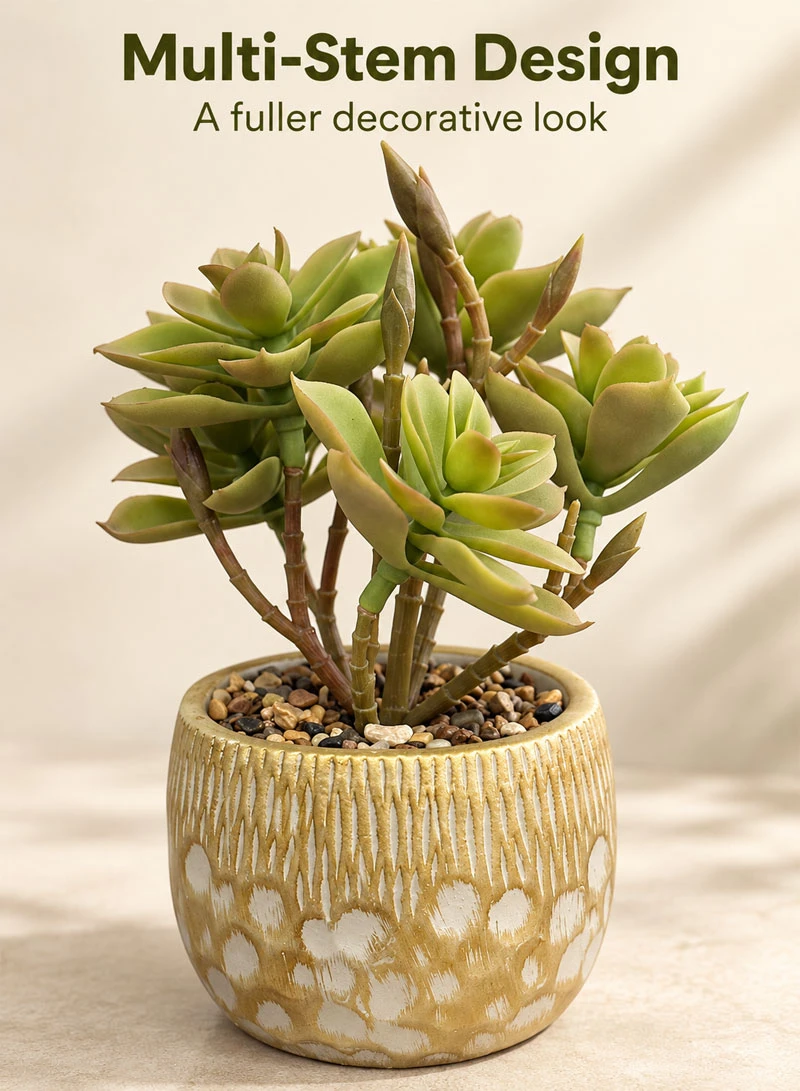 Artificial Succulent Plant with Decorative Pot - Green β photo 3
