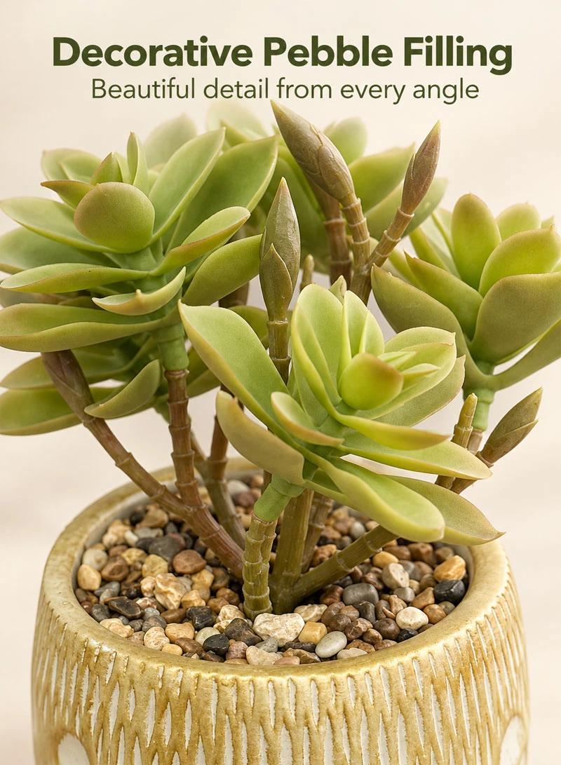 Artificial Succulent Plant with Decorative Pot - Green β photo 4