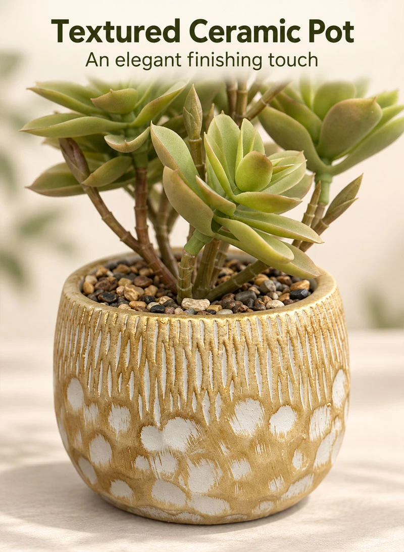 Artificial Succulent Plant with Decorative Pot - Green β photo 5
