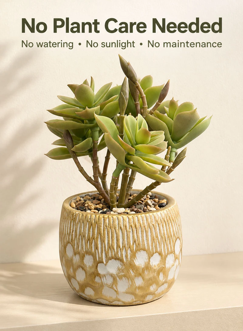 Artificial Succulent Plant with Decorative Pot - Green β photo 7