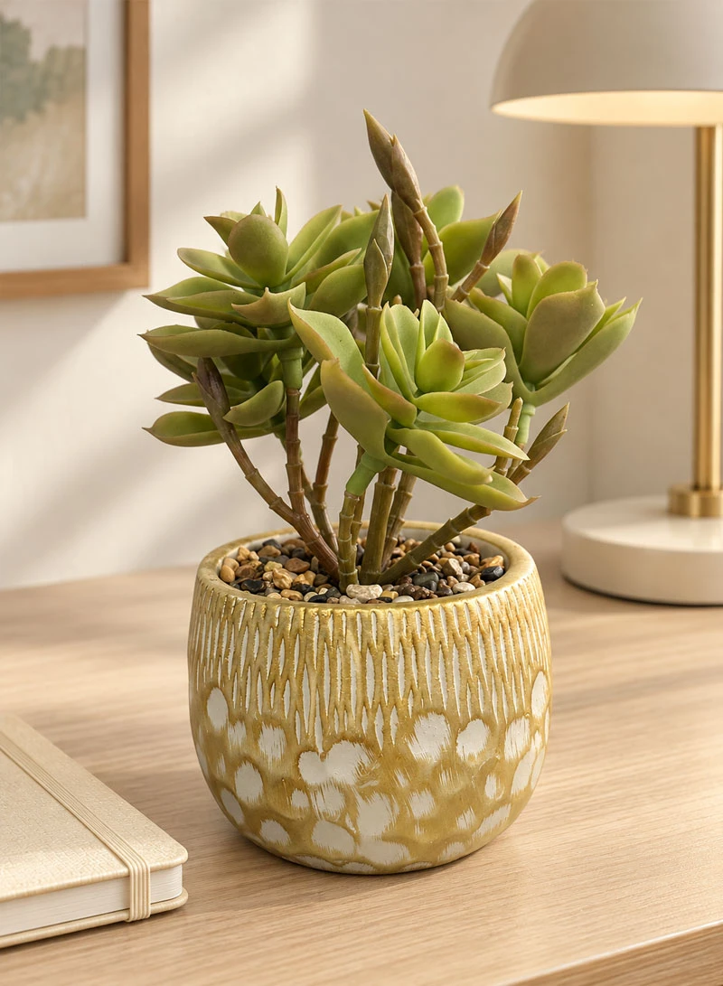 Artificial Succulent Plant with Decorative Pot - Green β photo 8