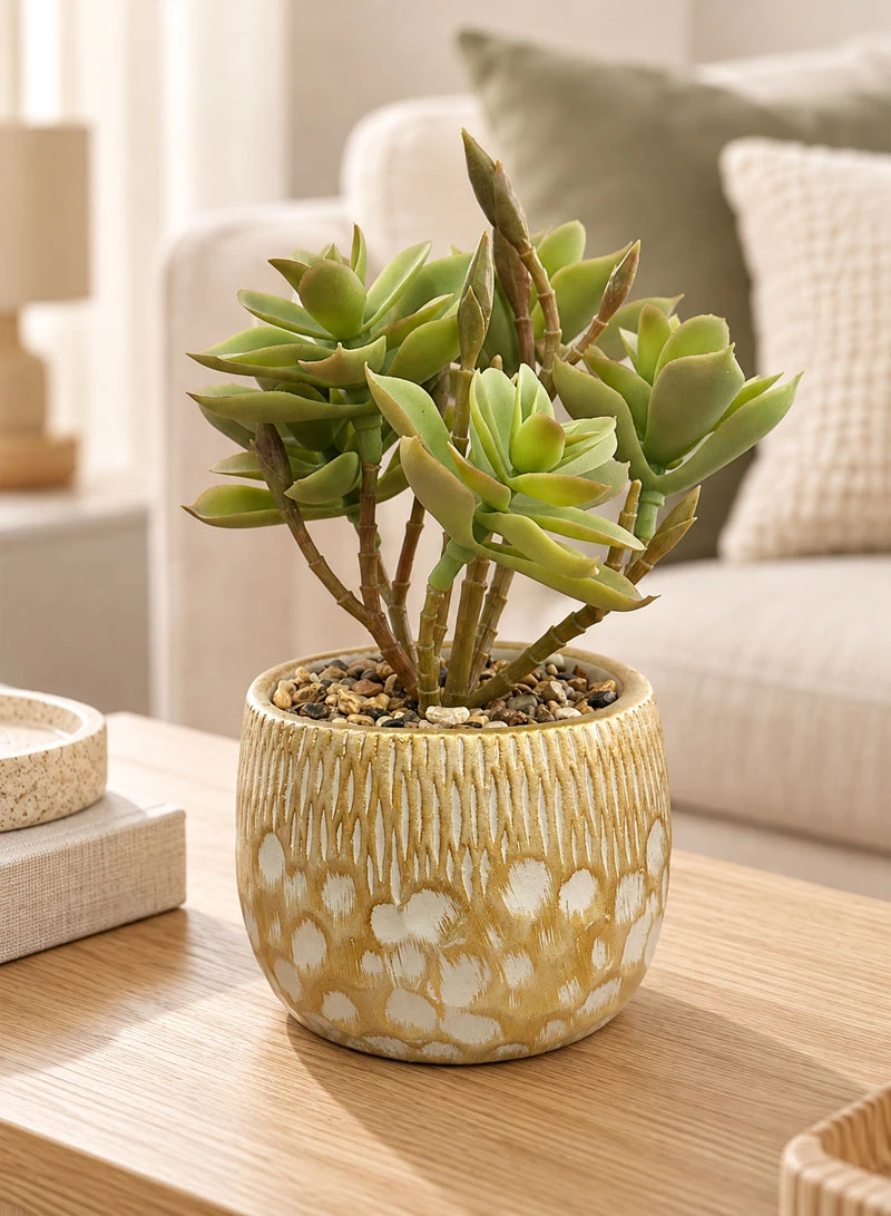 Artificial Succulent Plant with Decorative Pot - Green — photo 9