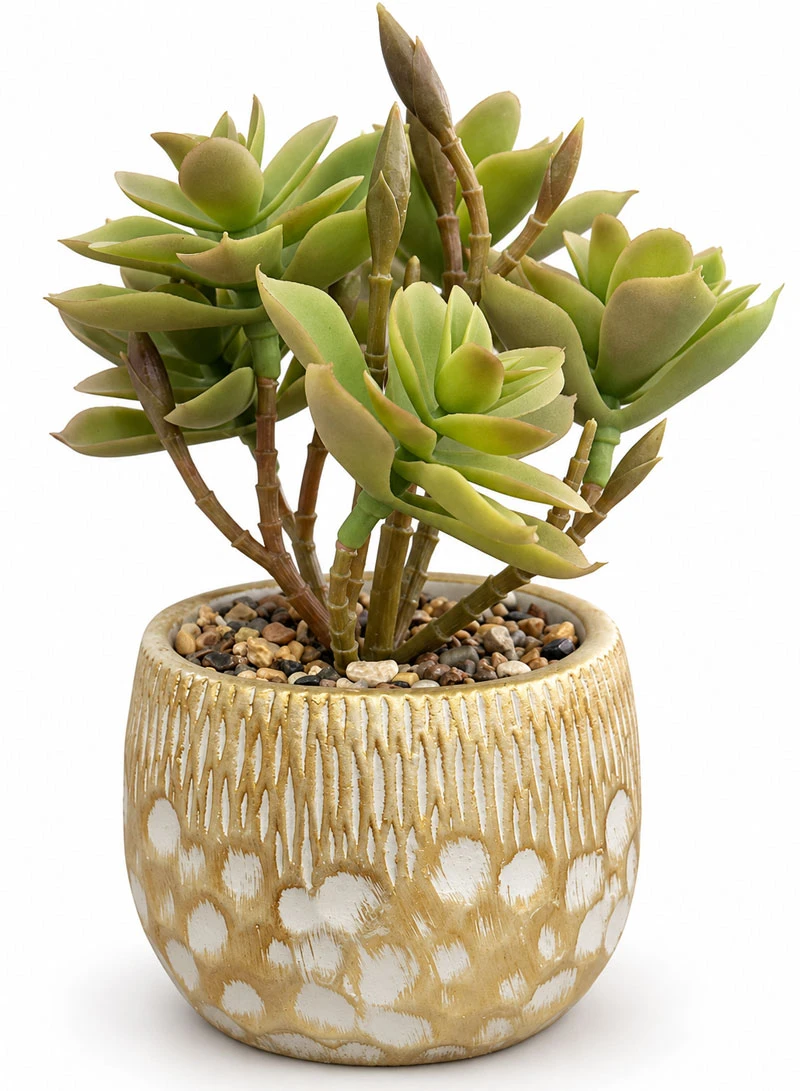 Artificial Succulent Plant with Decorative Pot - Green
