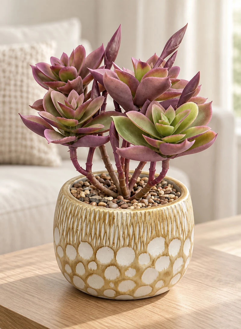 Artificial Succulent Plant with Decorative Pot - Purple — photo 7