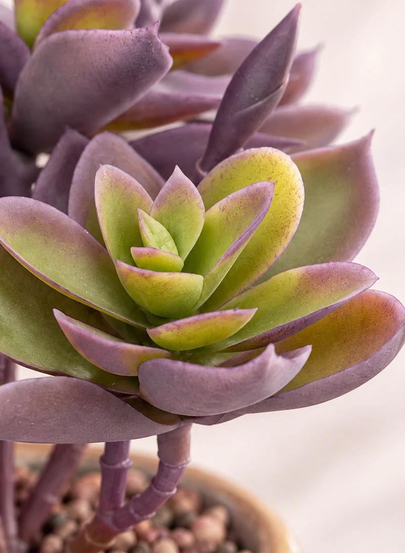 Artificial Succulent Plant with Decorative Pot - Purple — photo 8