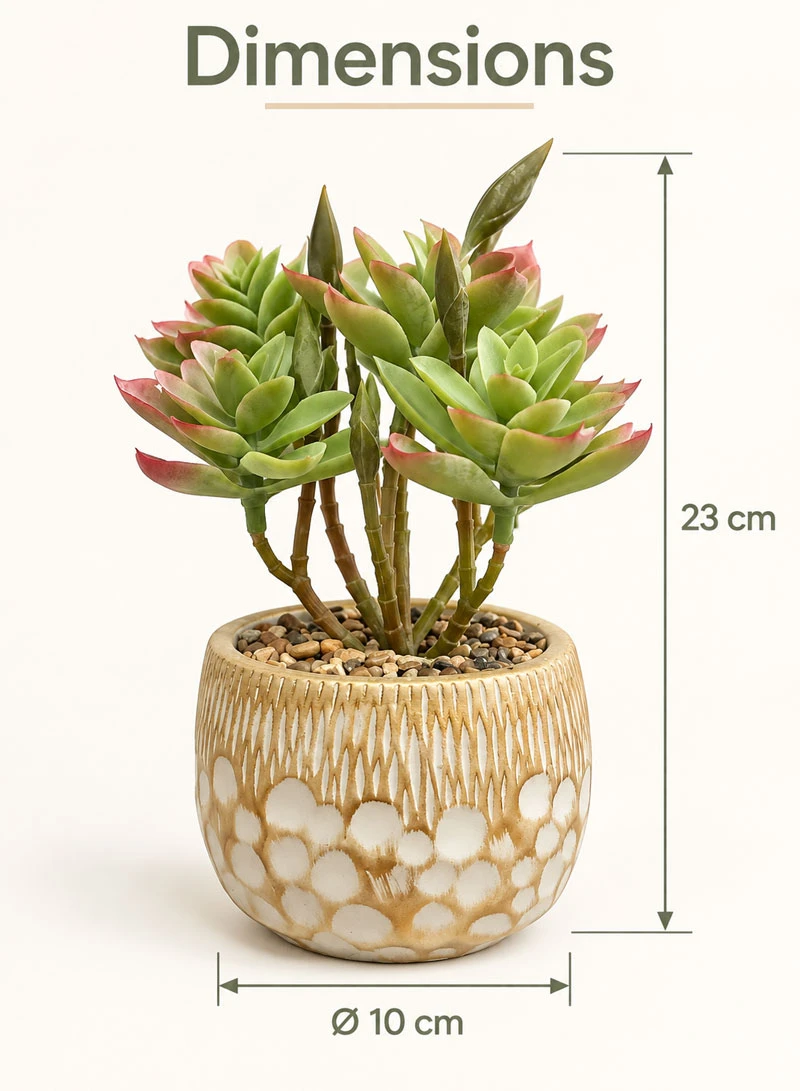 Artificial Succulent Plant with Decorative Pot - Dark Green β photo 2