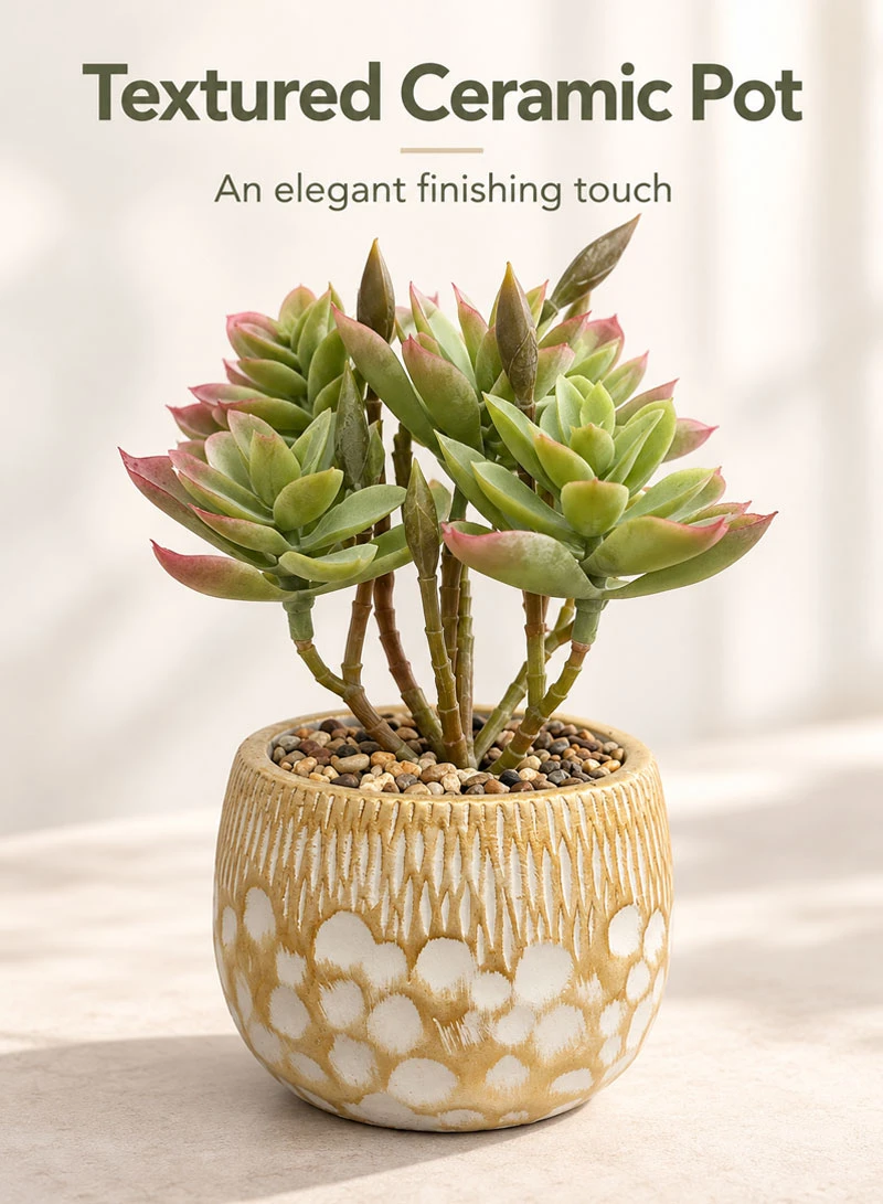 Artificial Succulent Plant with Decorative Pot - Dark Green β photo 3