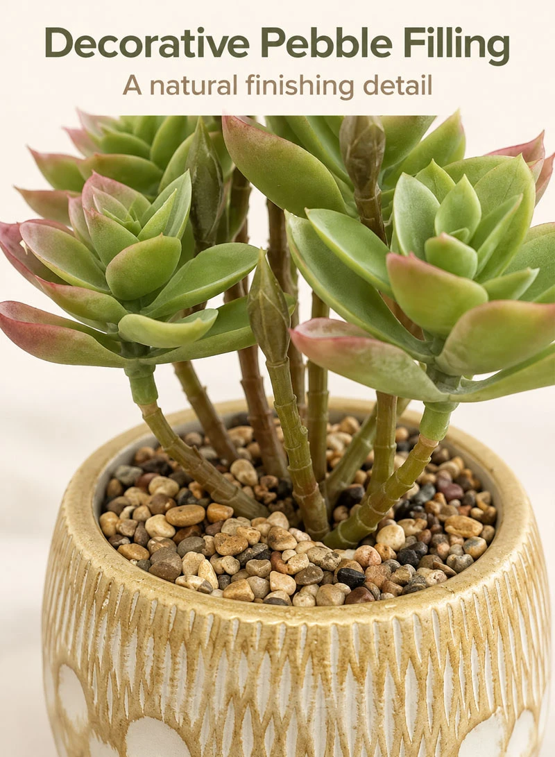Artificial Succulent Plant with Decorative Pot - Dark Green β photo 4