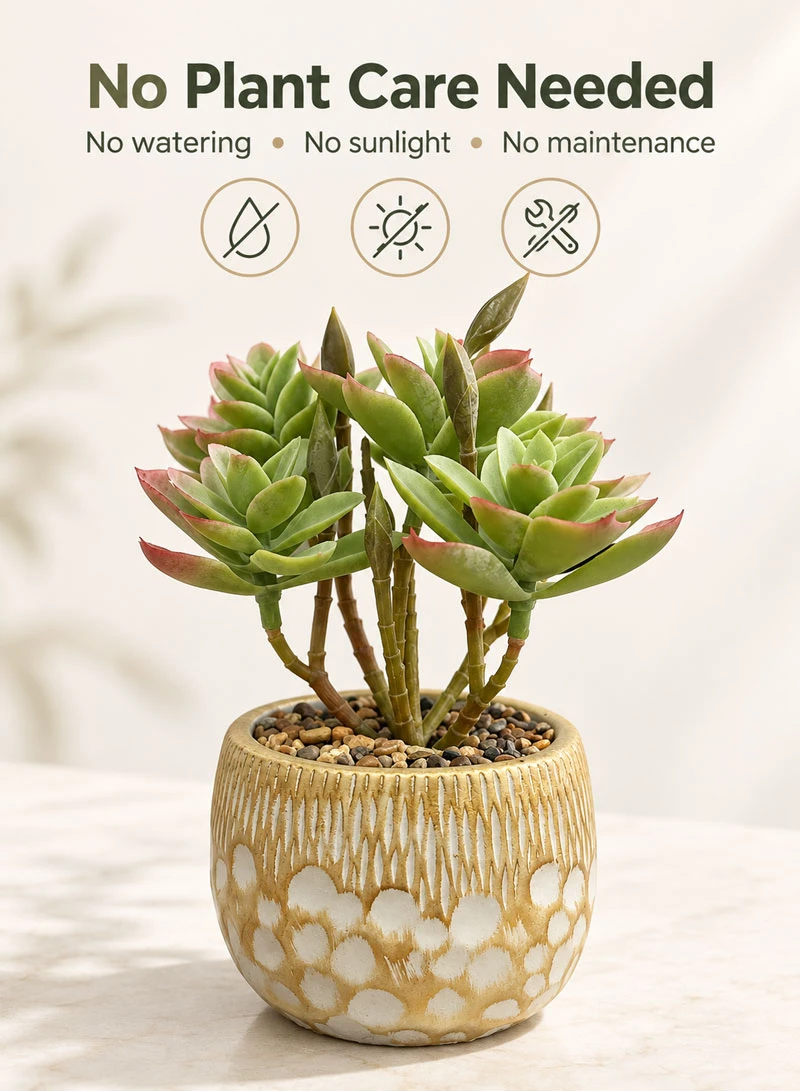Artificial Succulent Plant with Decorative Pot - Dark Green — photo 6