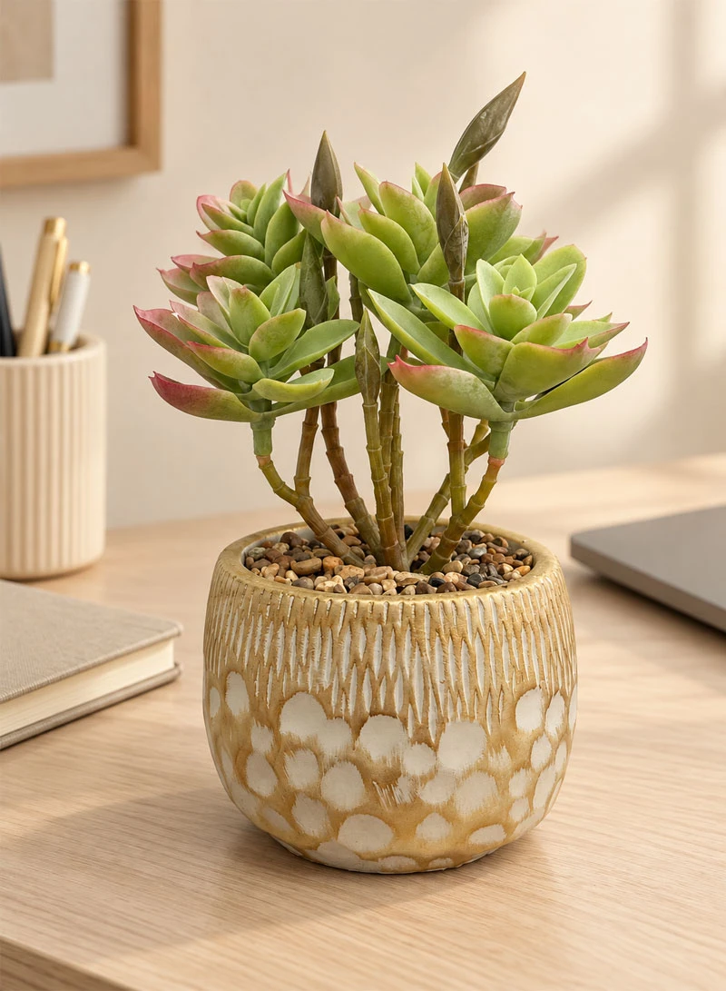 Artificial Succulent Plant with Decorative Pot - Dark Green β photo 8