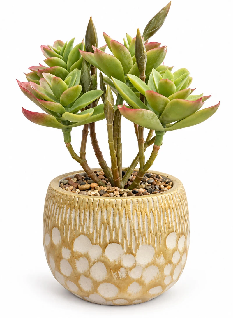 Artificial Succulent Plant with Decorative Pot - Dark Green