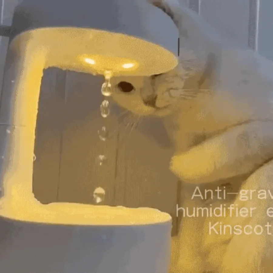 Anti-Gravity Rain Drop Humidifier β photo 2
